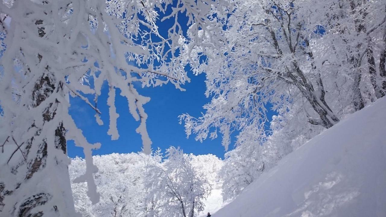 Nozawa Dream Central المظهر الخارجي الصورة