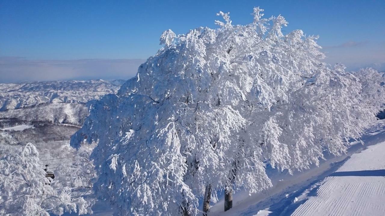 Nozawa Dream Central المظهر الخارجي الصورة